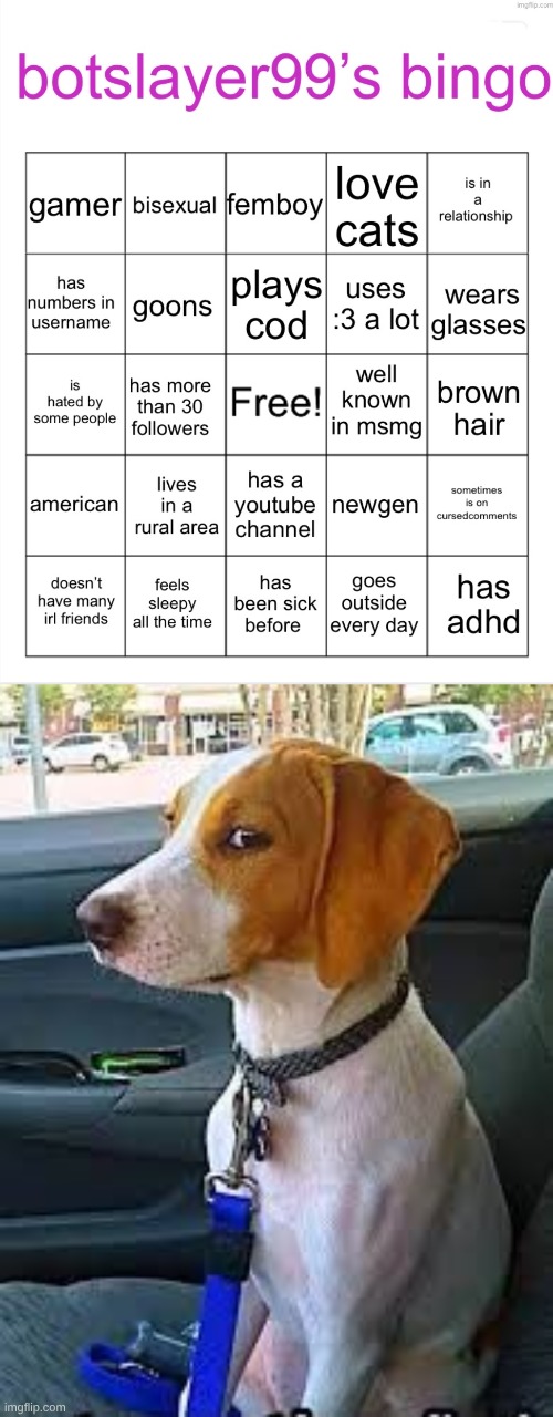 stereotype of doom bro don't let this guy find blahaj | image tagged in botslayer bingo,side eye doggie | made w/ Imgflip meme maker
