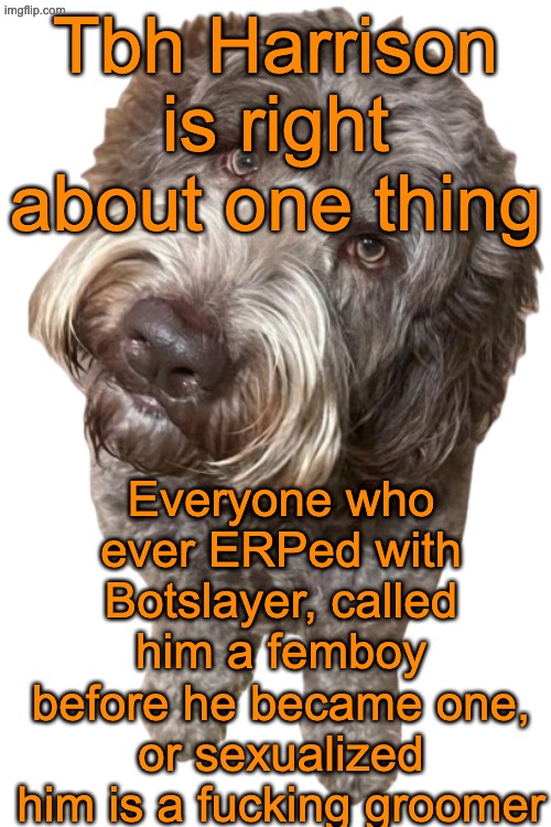 Most of y'all are genuinely disgusting istfg | Tbh Harrison is right about one thing; Everyone who ever ERPed with Botslayer, called him a femboy before he became one, or sexualized him is a fucking groomer | image tagged in northers dog transparent | made w/ Imgflip meme maker