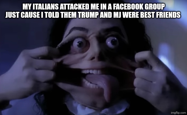 Absurd. The ignorance. They can Google it | My Italians attacked me in a Facebook group just cause I told them Trump and MJ were best friends | image tagged in micheal j ghost | made w/ Imgflip meme maker
