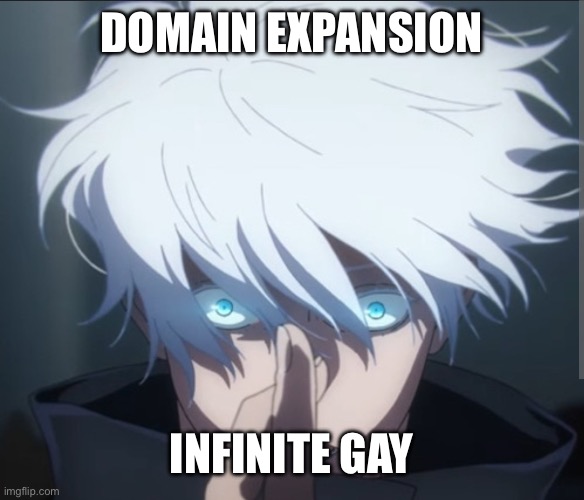 Domain expansion Infinite gay | image tagged in domain expansion | made w/ Imgflip meme maker