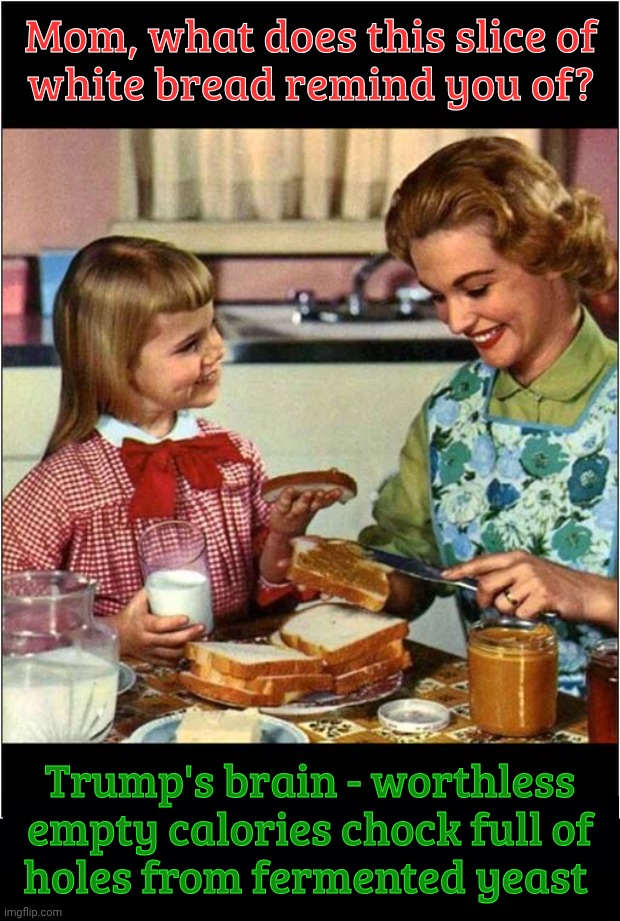 The empty caloric content that makes up Trump's brain,,, | Mom, what does this slice of
white bread remind you of? Trump's brain - worthless
empty calories chock full of
holes from fermented yeast | image tagged in mother and daughter,sliced white bread,trump's brain,what little volume there is is mostly holes,fermenting away,rot | made w/ Imgflip meme maker