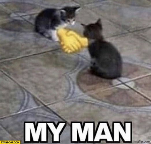 image tagged in cats shaking hands | made w/ Imgflip meme maker