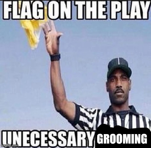 Flag on the play: Unnecessary hating | Grooming | image tagged in flag on the play unnecessary hating | made w/ Imgflip meme maker