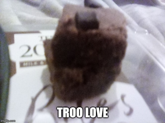 . | Troo love | image tagged in 17803508036126410995684855948851 jpg | made w/ Imgflip meme maker