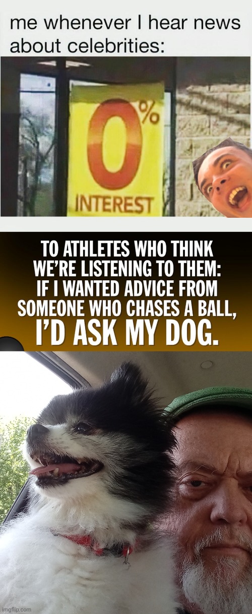 I'd ask my dog before I'd listen to celebrity opinions | image tagged in img 42 jpeg,celebrities,pomeranian | made w/ Imgflip meme maker