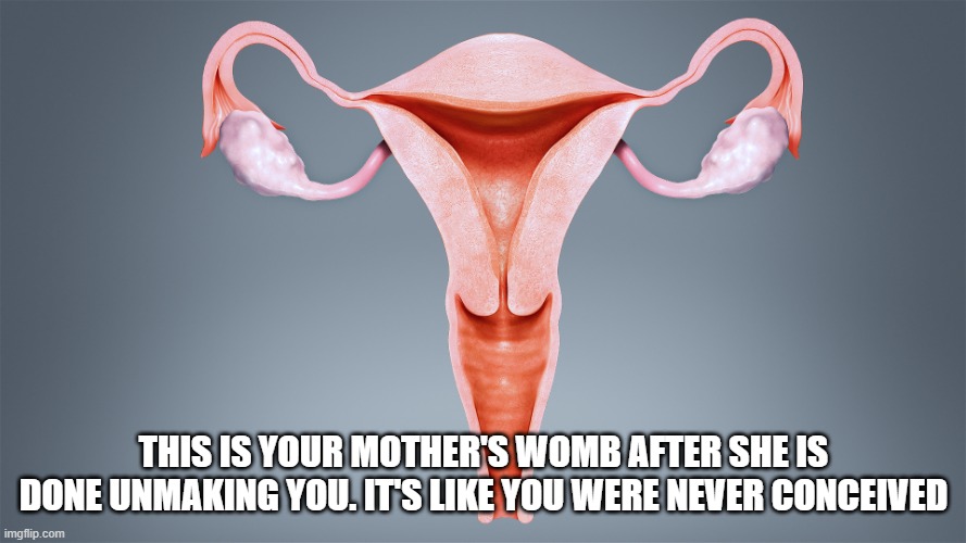 Uterus.jpg | This is your mother's womb after she is done unmaking you. It's like you were never conceived | image tagged in uterus jpg | made w/ Imgflip meme maker