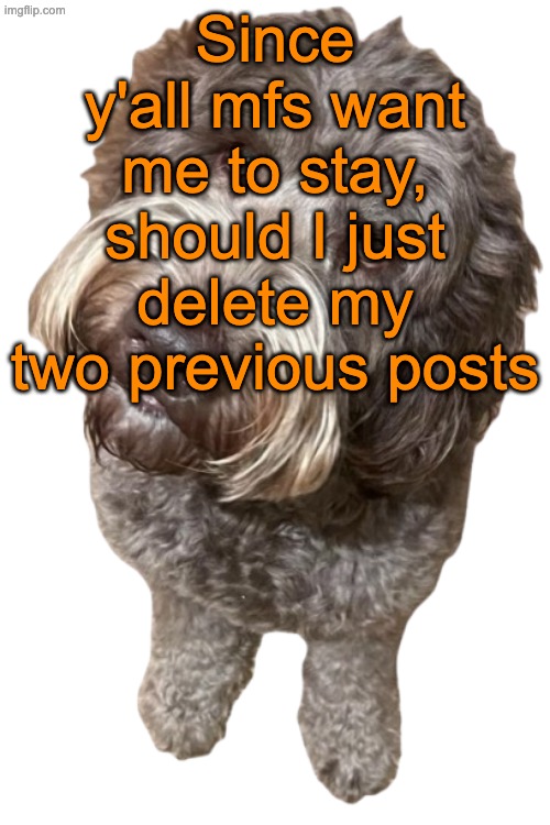 Northers Dog (Transparent) | Since y'all mfs want me to stay, should I just delete my two previous posts | image tagged in northers dog transparent | made w/ Imgflip meme maker