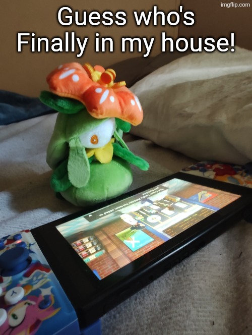 Look who's finally here! | Guess who's Finally in my house! | image tagged in lilly,pokemon | made w/ Imgflip meme maker