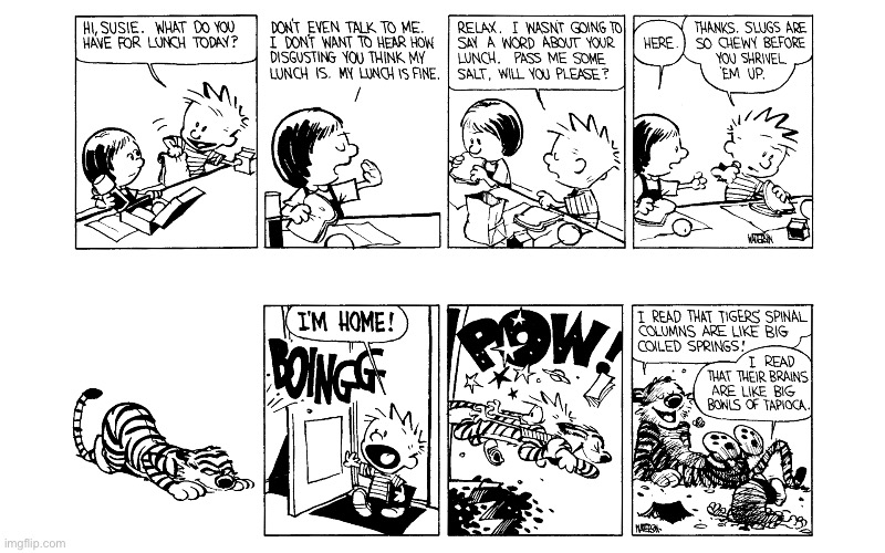 image tagged in calvin and hobbes,comics | made w/ Imgflip meme maker