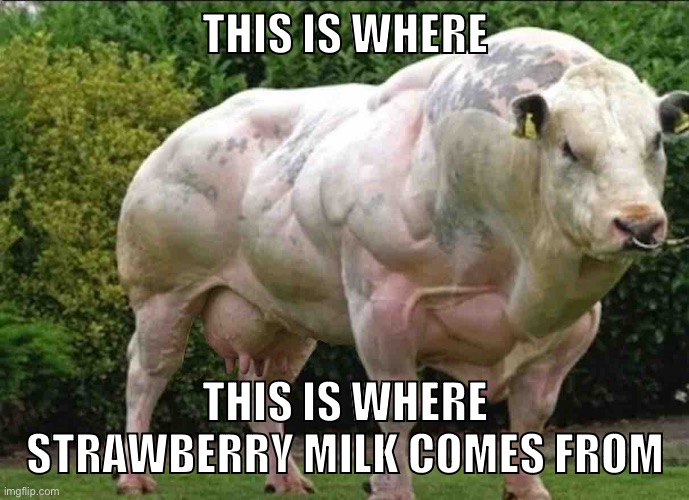This is where strawberry milk comes from | THIS IS WHERE; THIS IS WHERE STRAWBERRY MILK COMES FROM | image tagged in cow,strawberry milk | made w/ Imgflip meme maker