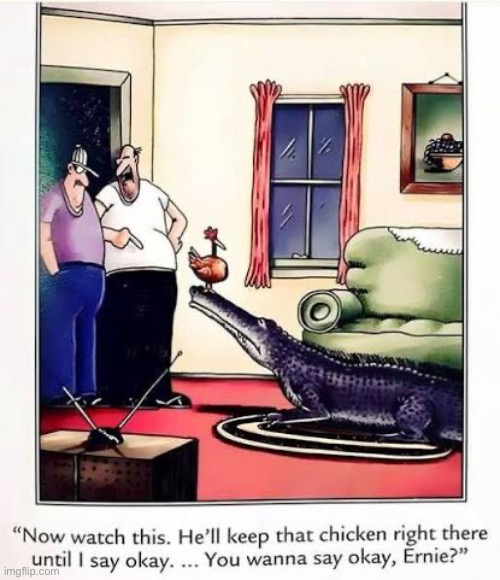 That’ll just make him hungrier | image tagged in the far side,comics,alligator,chicken,say okay,feeding time | made w/ Imgflip meme maker