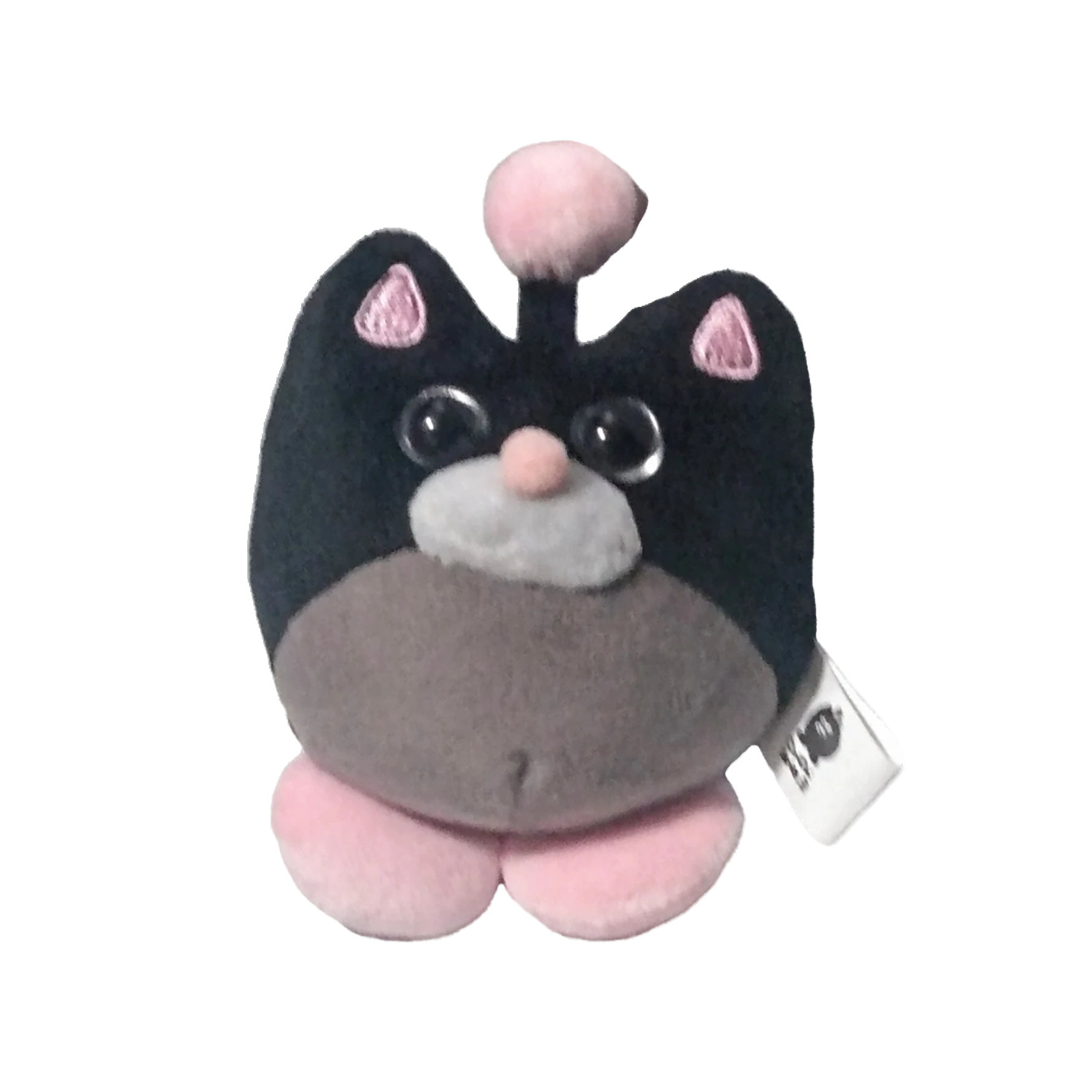 Backjat OuiOui.png Blank Meme Template