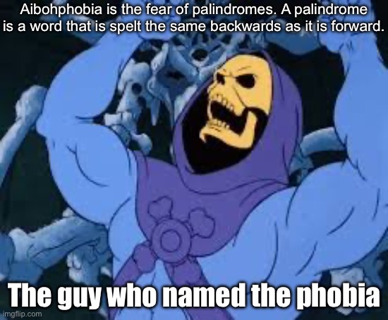 Evil Phobia | Aibohphobia is the fear of palindromes. A palindrome is a word that is spelt the same backwards as it is forward. The guy who named the phobia | image tagged in evil laugh skeletor,phobia,palindrome,bad pun,evil pun | made w/ Imgflip meme maker