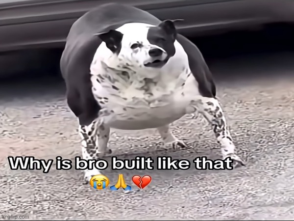 image tagged in memes,msmg | made w/ Imgflip meme maker