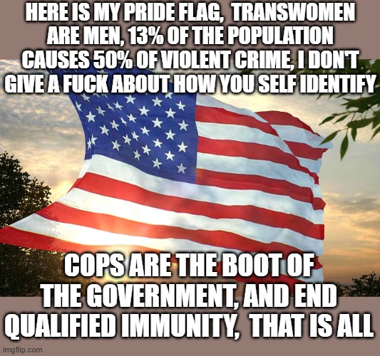 Making myself heard in June | Here is my pride flag,  transwomen are men, 13% of the population causes 50% of violent crime, I don't give a fuck about how you self identify; Cops are the boot of the government, and End qualified immunity,  that is all | image tagged in political meme,free speech,the truth,american flag,pride,stupid liberals | made w/ Imgflip meme maker
