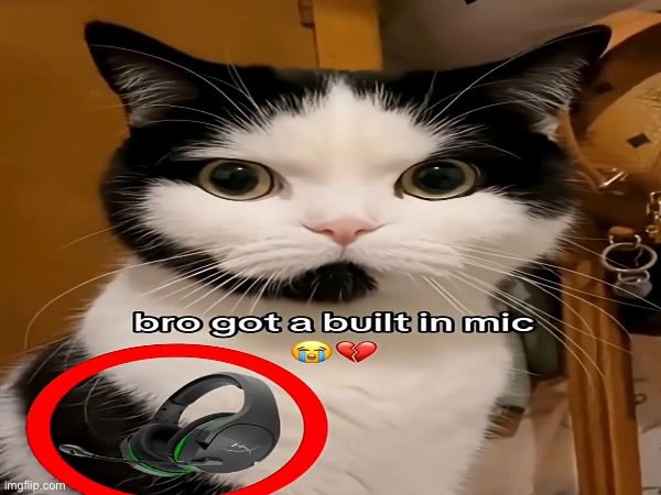 image tagged in memes,msmg | made w/ Imgflip meme maker