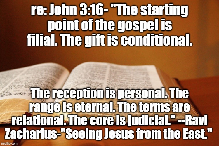 2366153.jpg | re: John 3:16- "The starting point of the gospel is filial. The gift is conditional. The reception is personal. The range is eternal. The terms are relational. The core is judicial." --Ravi Zacharius-"Seeing Jesus from the East." | image tagged in 2366153 jpg | made w/ Imgflip meme maker