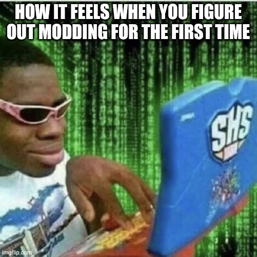 C'mon, at least half of this stream felt like it | How it feels when you figure out modding for the first time | image tagged in minecraft,mods | made w/ Imgflip meme maker