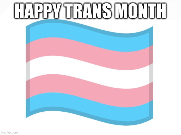Only Support The T Not Lgb | HAPPY TRANS MONTH | image tagged in pride month,trans life's matter,lgb is cringe | made w/ Imgflip meme maker