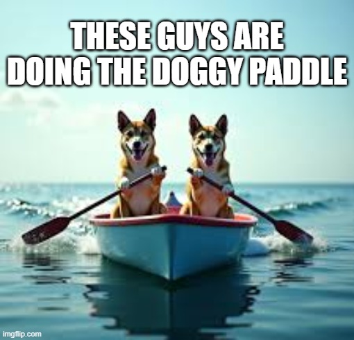 A couple of dogs doing the "doggy paddle".    --  funny  -- | These guys are doing the doggy paddle | image tagged in funny,humor,dogs,swimming,boat | made w/ Imgflip meme maker