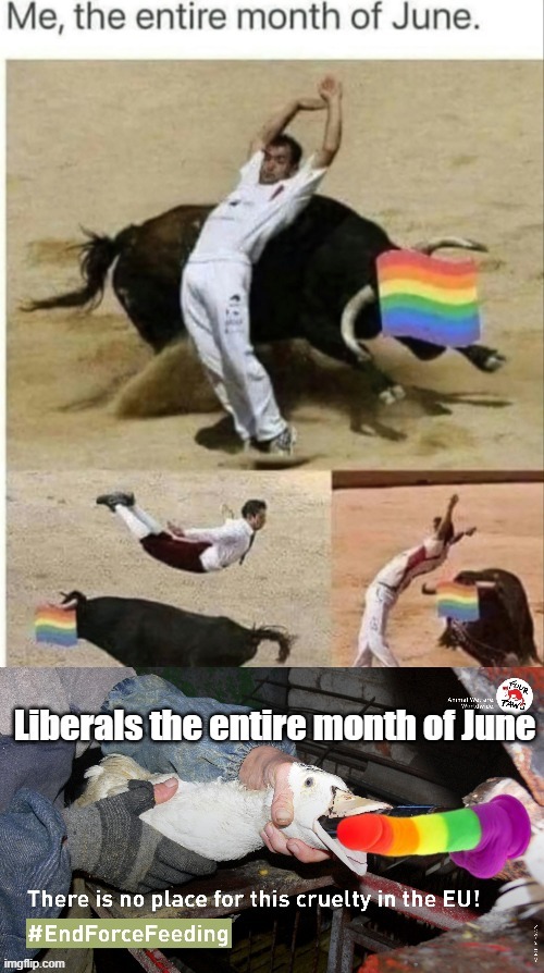 30 solid days of LGBTQ Foie gras | image tagged in pride month meme | made w/ Imgflip meme maker