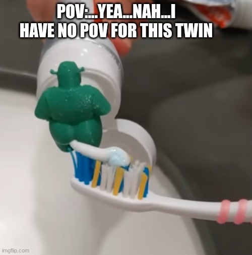 nope | pov:...yea...nah...i have no pov for this twin | image tagged in pov,or nah | made w/ Imgflip meme maker