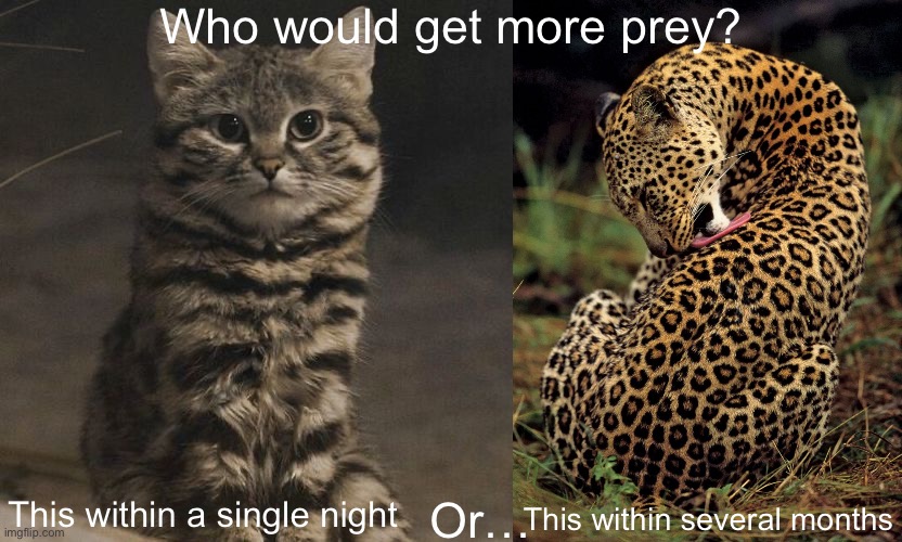 Choose wisely | Who would get more prey? This within a single night; Or…; This within several months | made w/ Imgflip meme maker