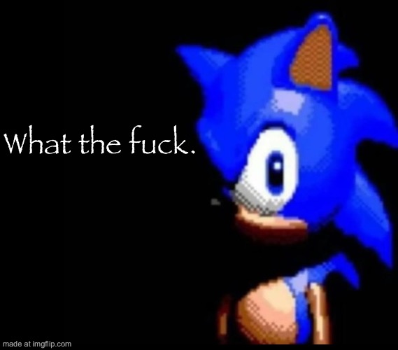 Sonic stares | What the fuck. | image tagged in sonic stares | made w/ Imgflip meme maker