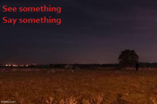 it's your duty as a resident of [] county to report anomalies | made w/ Imgflip meme maker
