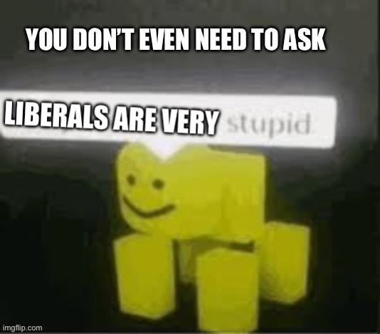 You don’t even need to ask | image tagged in stupid liberals | made w/ Imgflip meme maker