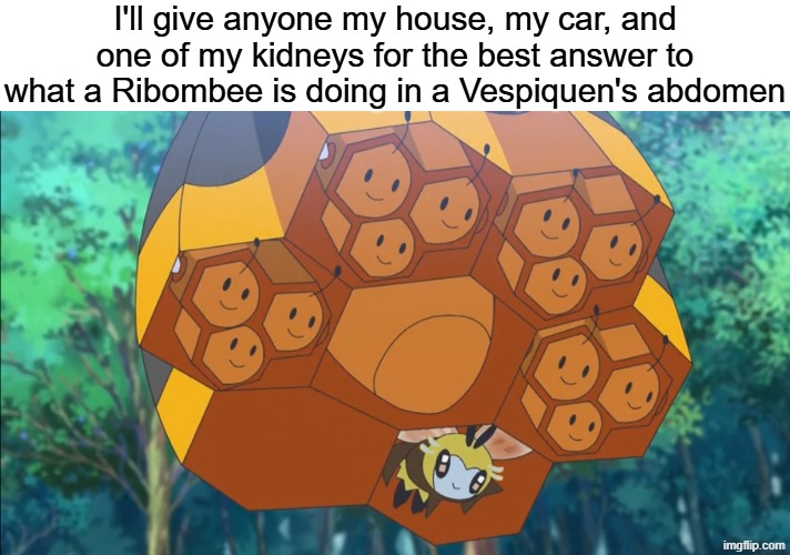 So what you got? | I'll give anyone my house, my car, and one of my kidneys for the best answer to what a Ribombee is doing in a Vespiquen's abdomen | image tagged in memes,funny,pokemon,anime | made w/ Imgflip meme maker