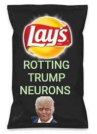 New whole lays flavor | Rotting trump neurons | image tagged in lays do us a flavor blank black | made w/ Imgflip meme maker