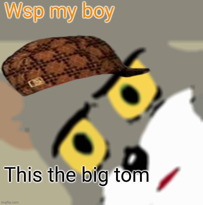 Unsettled Tom Meme | Wsp my boy; This the big tom | image tagged in memes,unsettled tom,remix | made w/ Imgflip meme maker