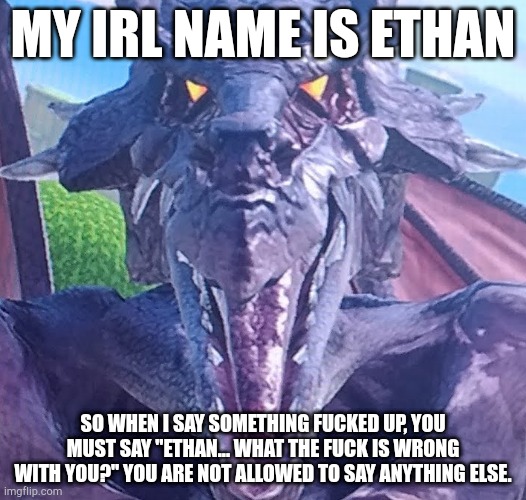 Name Reveal! (Those little wimps with the NSFW box not checked will never know) | My IRL name is Ethan; So when I say something fucked up, you must say "Ethan... what the fuck is wrong with you?" You are not allowed to say anything else. | image tagged in funny ridley,name reveal | made w/ Imgflip meme maker