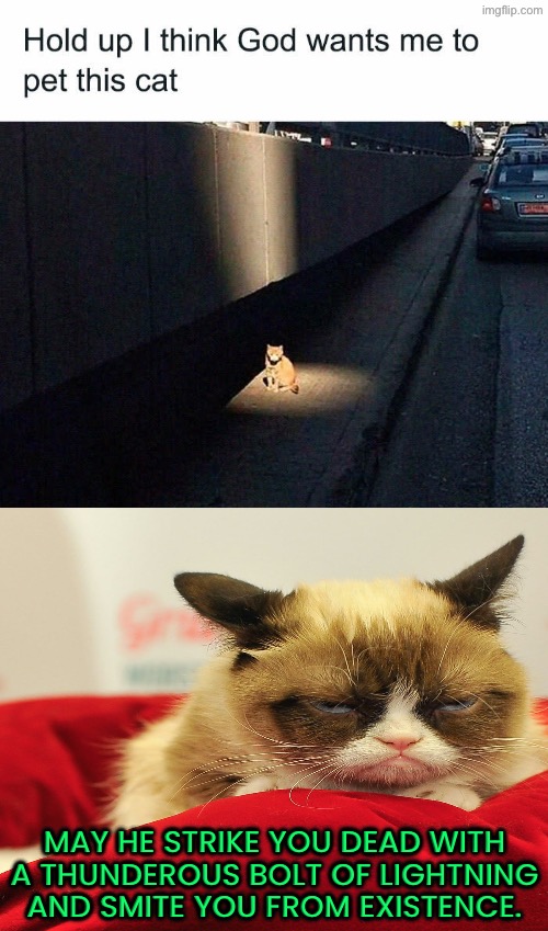 May He Strike You Dead | May He strike you dead with a thunderous bolt of lightning and smite you from existence. | image tagged in cats,grumpy cat,lightning,smite,death wish,god | made w/ Imgflip meme maker
