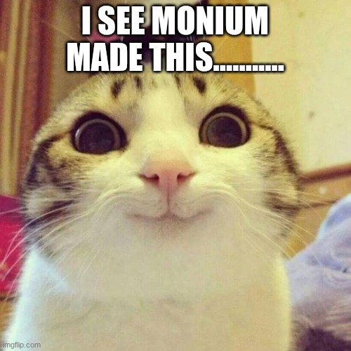 Smiling Cat Meme | I see monium made this........... | image tagged in memes,smiling cat | made w/ Imgflip meme maker