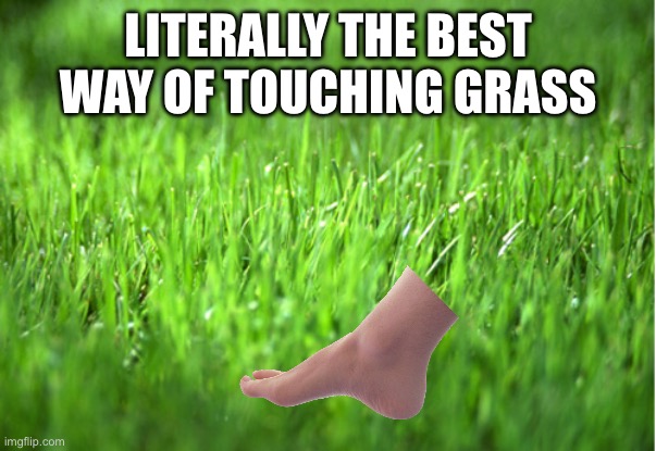 Barefoot on the grass is the best way to touch grass | Literally THE BEST way of touching grass | image tagged in grass is greener | made w/ Imgflip meme maker