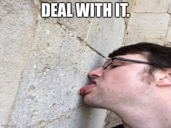 deal with it. | made w/ Imgflip meme maker