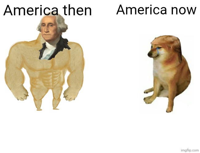 Buff doge vs cheems | America then; America now | image tagged in memes,buff doge vs cheems,america | made w/ Imgflip meme maker