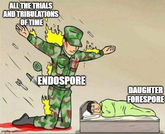 endospore microbiology | all the trials 
and tribulations 
of time; endospore; daughter forespore | image tagged in soldier protecting sleeping child | made w/ Imgflip meme maker