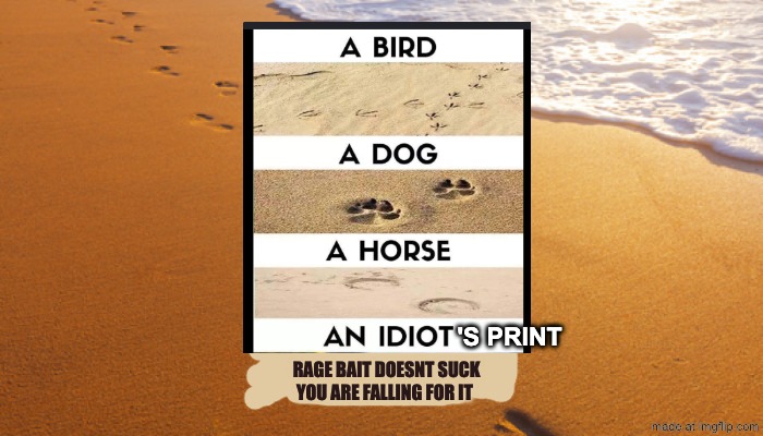 footprints in the sand | 's print; rage bait doesnt suck you are falling for it | image tagged in footprints in the sand | made w/ Imgflip meme maker