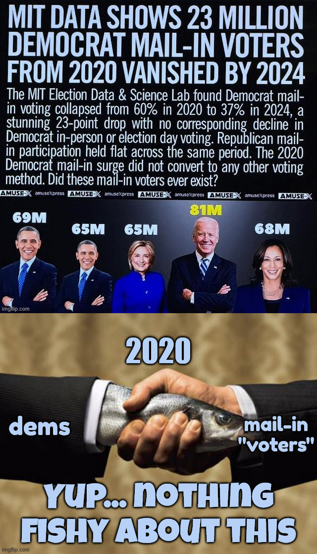 More and more evidence coming out | 2020; dems; mail-in "voters"; Yup... nothing fishy about this | image tagged in fishy business,mit data,proves 2020 election fraud | made w/ Imgflip meme maker