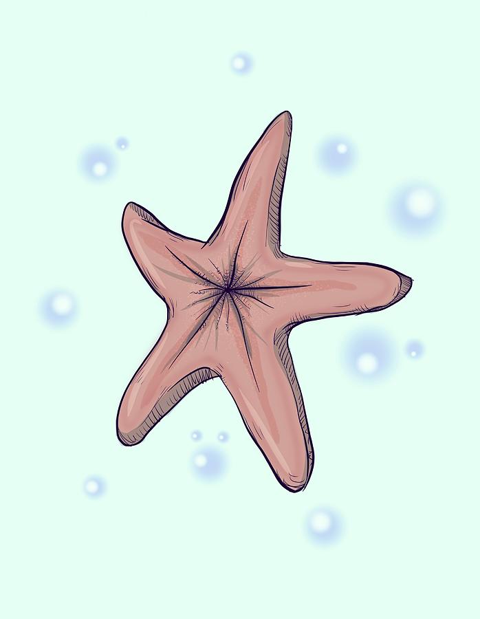 Chocolate starfish Blank Meme Template
