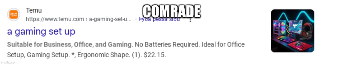 I know that 22 dollars is too good to be true... | comrade | image tagged in temu,pc gaming | made w/ Imgflip meme maker