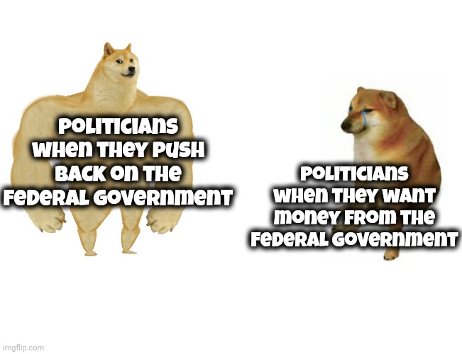 Can't have it both ways | Politicians when they push back on the Federal Government; Politicians when they want money from the Federal Government | image tagged in memes,buff doge vs cheems,politicians suck,spoiled brats,gimme gimme | made w/ Imgflip meme maker