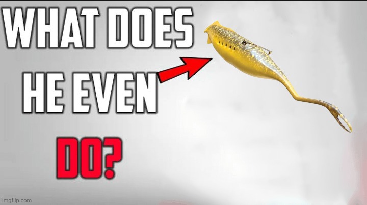 Tully Monster moment | image tagged in what does he even do blank template,memes,animal meme,history memes,funny,lol | made w/ Imgflip meme maker
