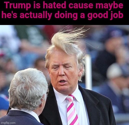 Trump | Trump is hated cause maybe he's actually doing a good job | image tagged in trump bad hair | made w/ Imgflip meme maker