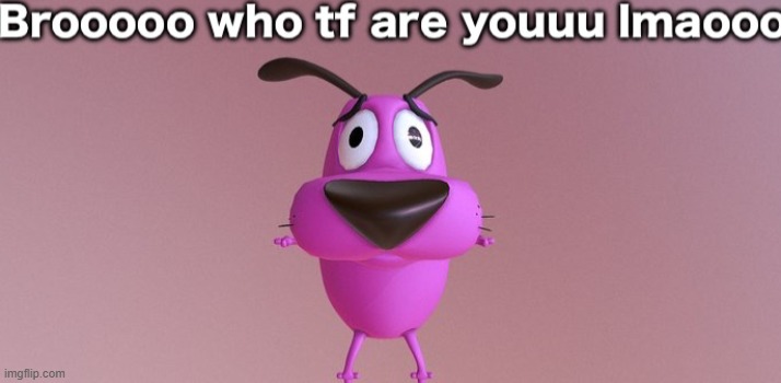 Who tf are you | image tagged in who tf are you | made w/ Imgflip meme maker