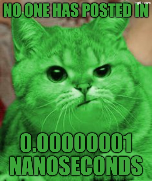 RayCat Annoyed | No one has posted in; 0.00000001 nanoseconds | image tagged in raycat annoyed | made w/ Imgflip meme maker