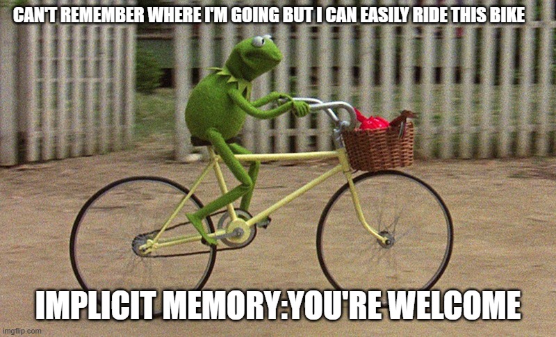 kermit bike | Can't remember where i'm going but i can easily ride this bike; Implicit Memory:You're welcome | image tagged in kermit bike | made w/ Imgflip meme maker